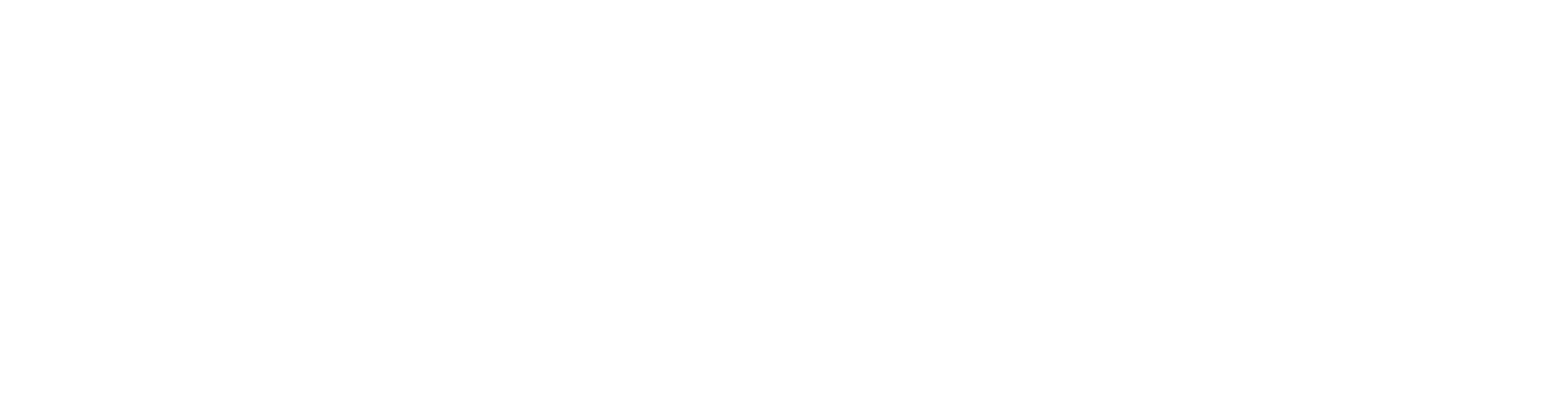 Logo Inafon